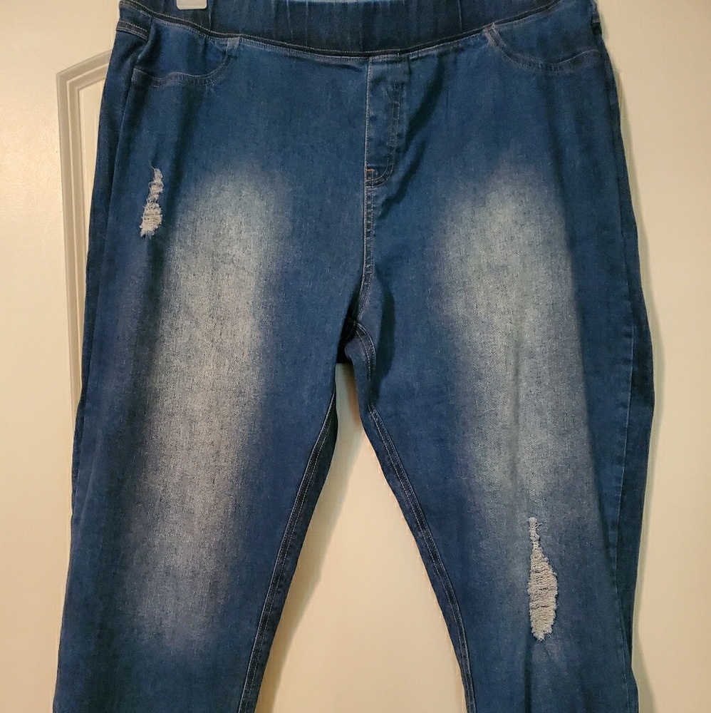 1X denim capris
